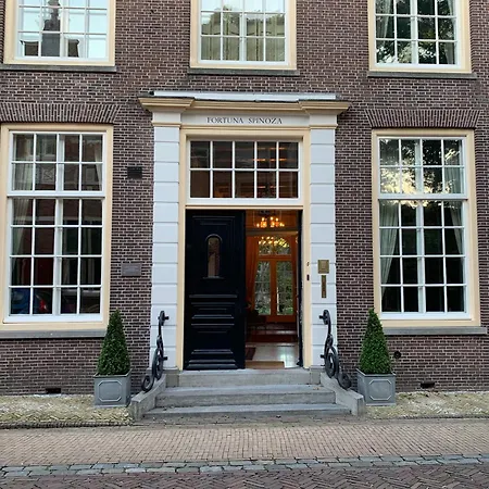Fortuna Spinoza Monnickendam